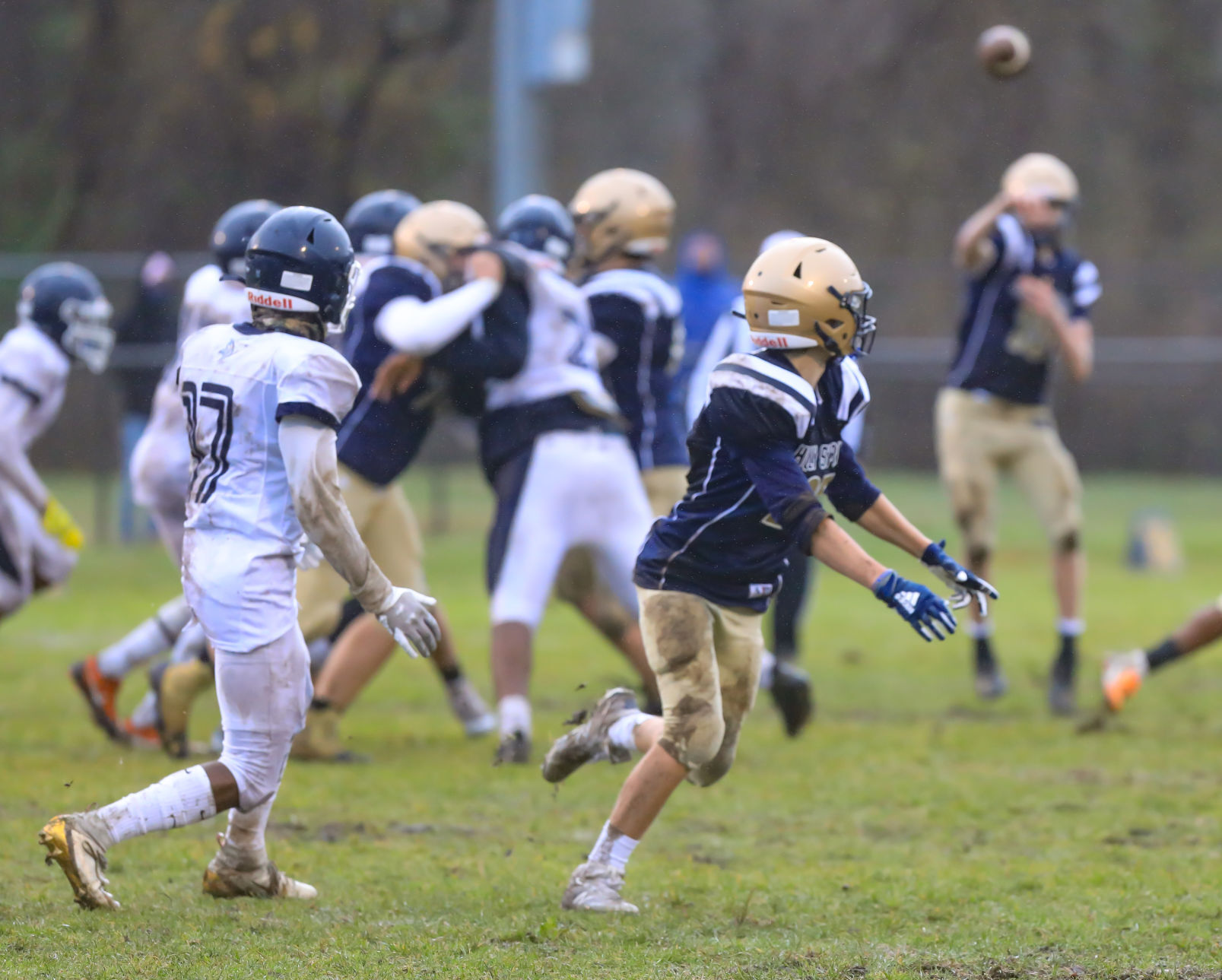 spt_HSFB